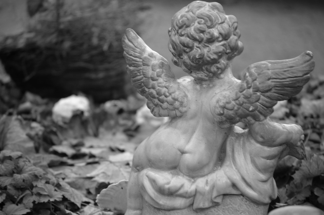 angel